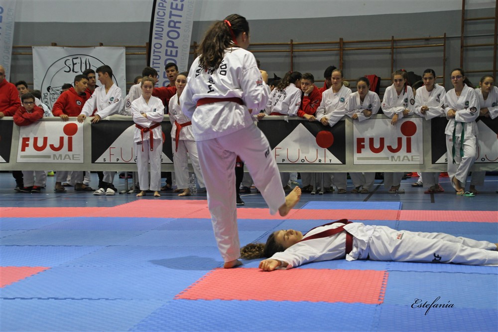 Copa Seul 2018 (379).jpg